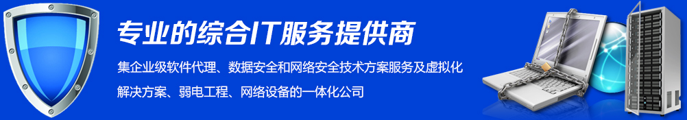 专业的综合IT服务提供商